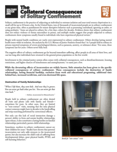 Download “The Collateral Consequences of Solitary Confinement: Solitary Watch Fact Sheet #2” PDF